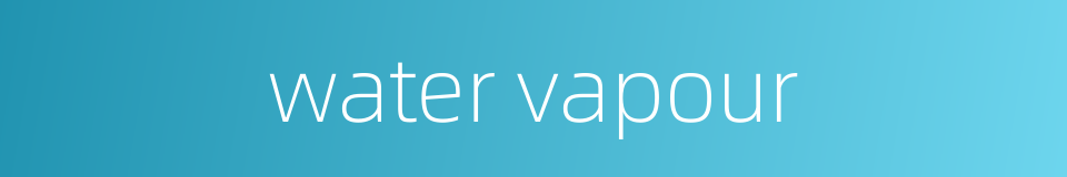 water vapour的同义词