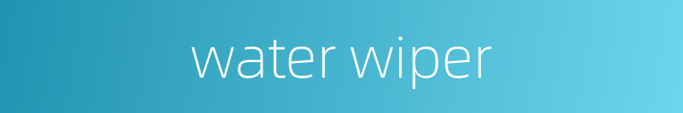 water wiper的同义词