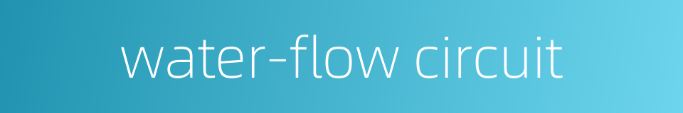 water-flow circuit的同义词