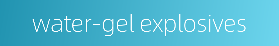 water-gel explosives的同义词