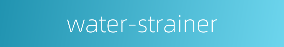 water-strainer的同义词