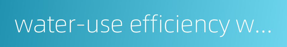 water-use efficiency wue的同义词