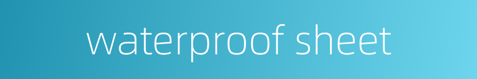 waterproof sheet的同义词