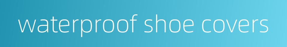 waterproof shoe covers的同义词