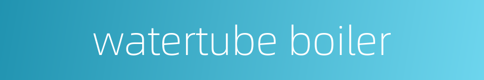 watertube boiler的同义词
