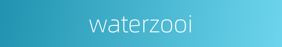 waterzooi的同义词