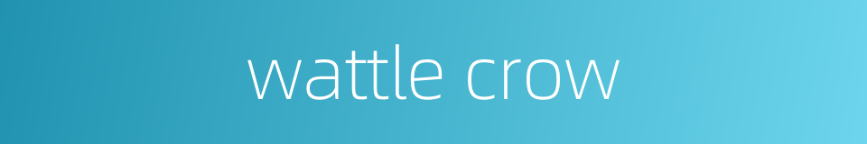 wattle crow的同义词