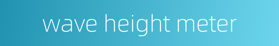 wave height meter的同义词