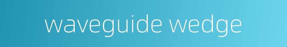 waveguide wedge的同义词