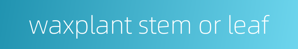 waxplant stem or leaf的同义词