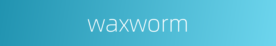 waxworm的同义词