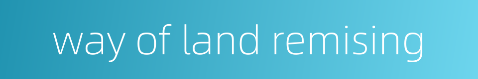 way of land remising的同义词