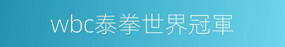wbc泰拳世界冠軍的同義詞
