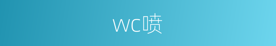 wc喷的同义词