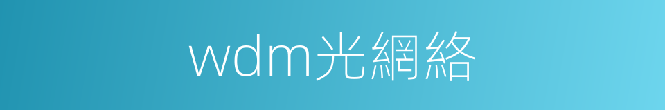 wdm光網絡的同義詞