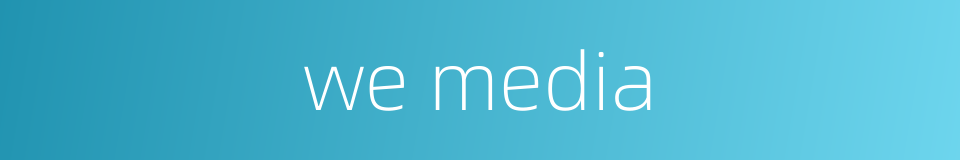 we media的同义词