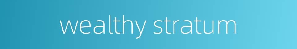 wealthy stratum的同义词