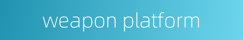 weapon platform的同义词