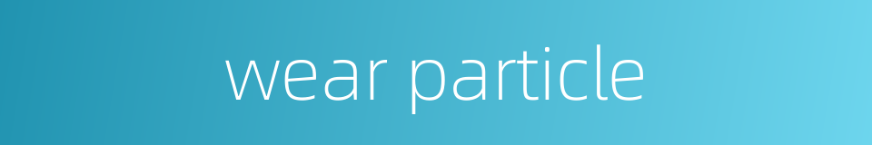 wear particle的同义词