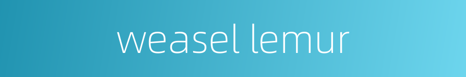 weasel lemur的同义词