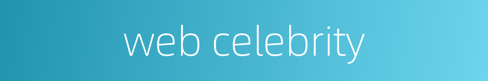 web celebrity的同义词