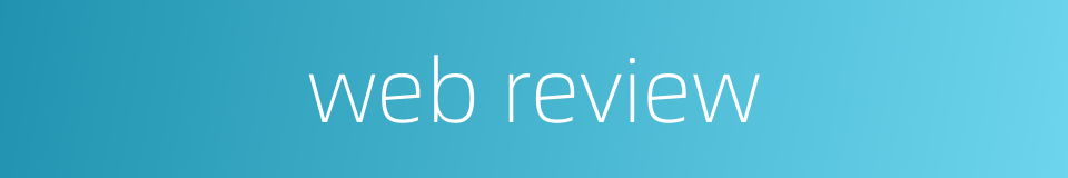 web review的同义词