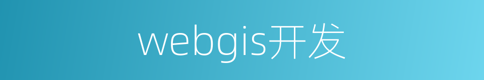 webgis开发的同义词