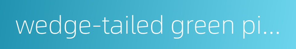 wedge-tailed green pigeon的同义词