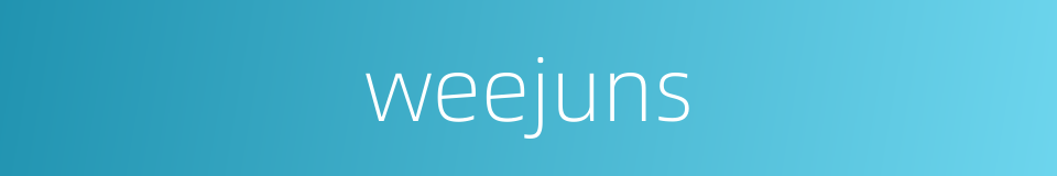 weejuns的同义词