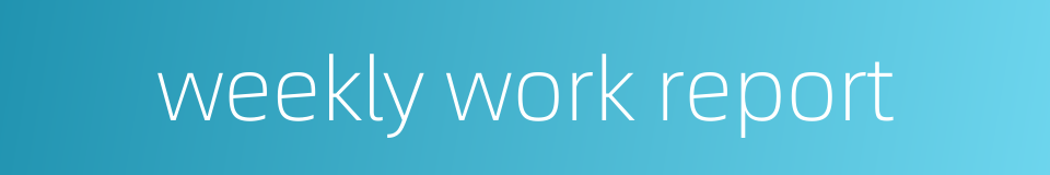 weekly work report的同义词
