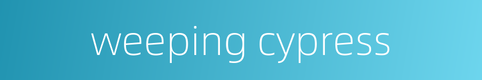 weeping cypress的同义词