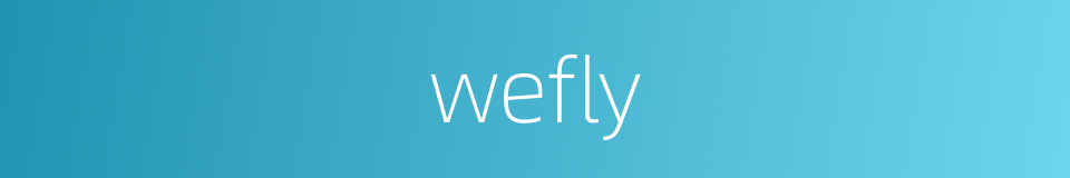 wefly的同义词