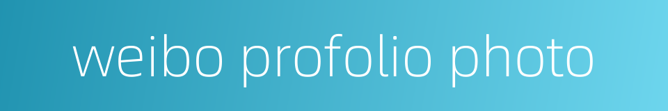 weibo profolio photo的同义词