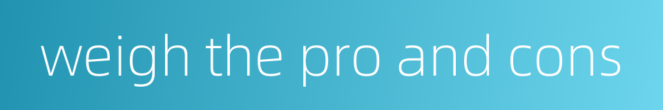 weigh the pro and cons的同义词