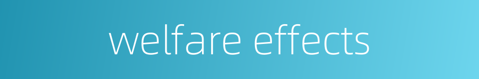 welfare effects的同义词