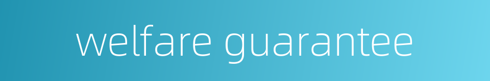 welfare guarantee的同义词