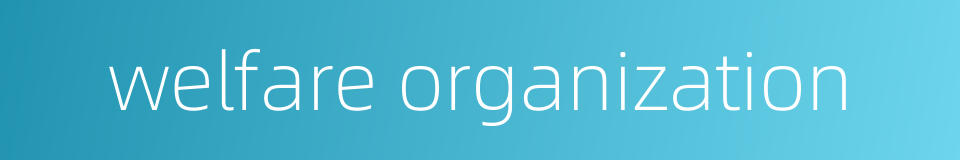 welfare organization的同义词