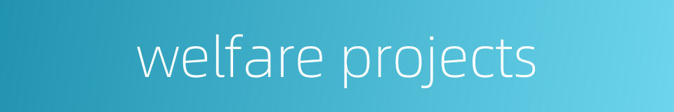 welfare projects的同义词