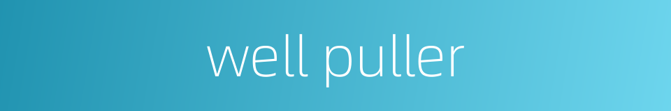 well puller的同义词