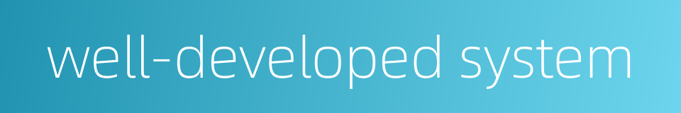 well-developed system的同义词