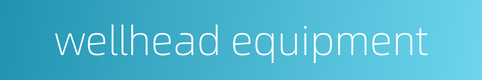 wellhead equipment的同义词