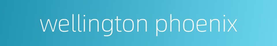 wellington phoenix的同义词