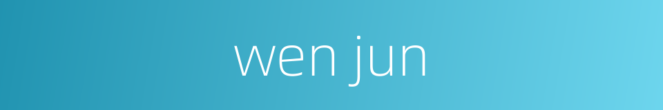 wen jun的同义词