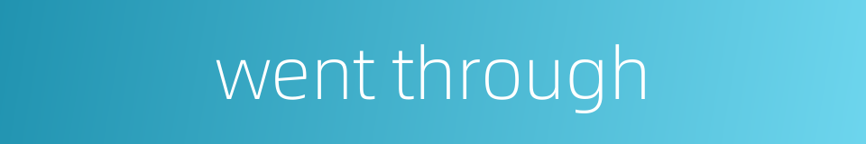 went through的同义词