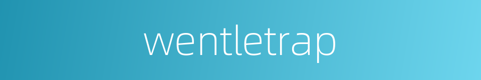 wentletrap的同义词