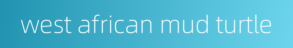 west african mud turtle的同义词