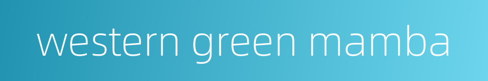 western green mamba的同义词
