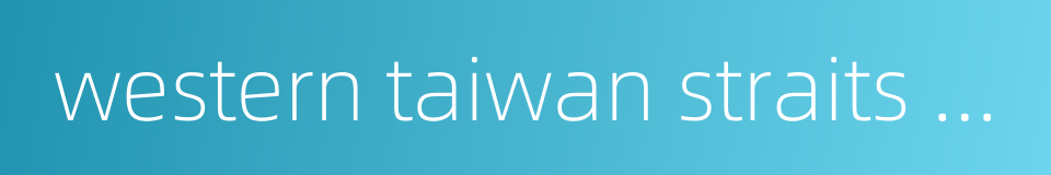 western taiwan straits economic zone的同义词