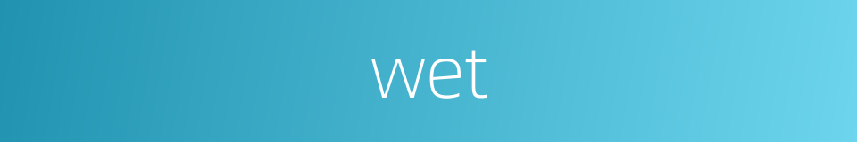 wet的同义词