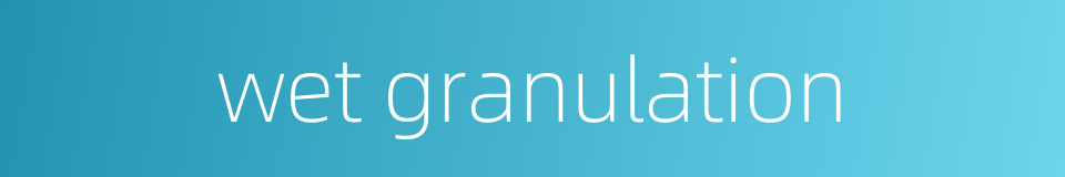 wet granulation的同义词